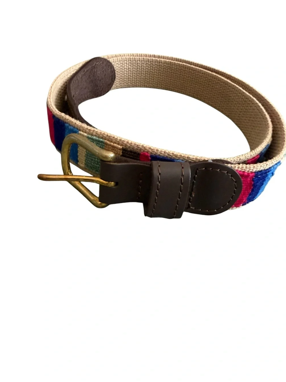 A Tail We Could Wag 36” Multicolored Belt